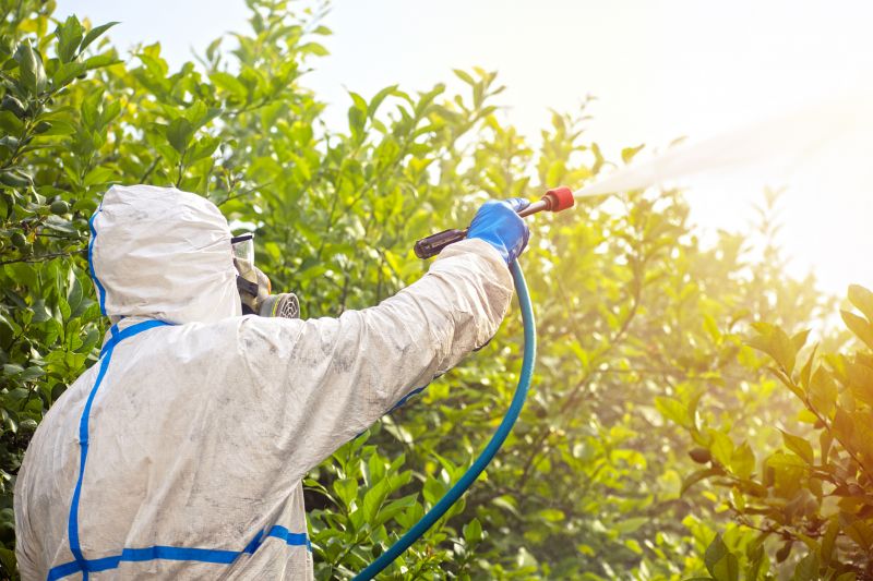 Fumigation Service in Coeur D Alene, ID