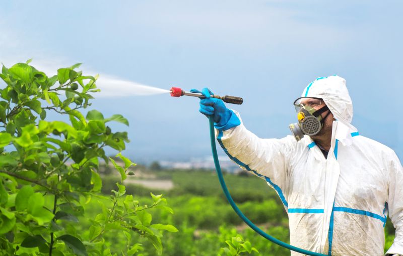 Fumigation Service in Ann Arbor, MI