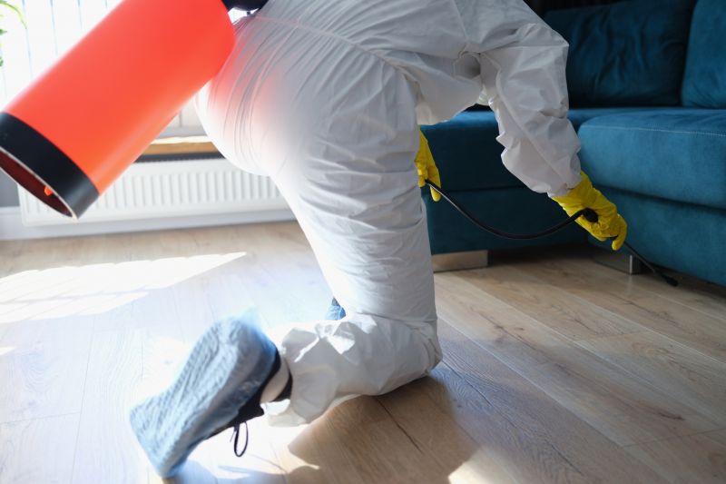 Rat Fumigation Service in Clarksville, TN