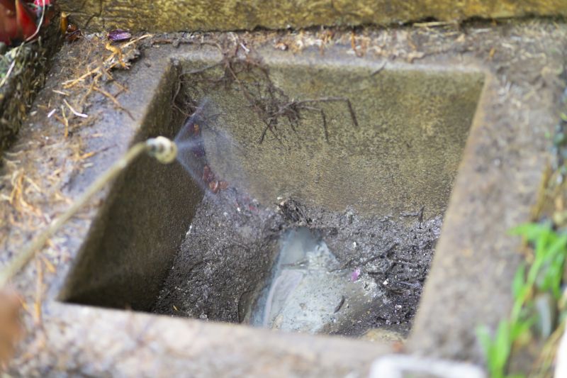 Types Of Pests That Require Fumigation Treatment