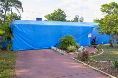 Effective Pest Control